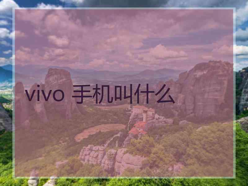 vivo 手机叫什么