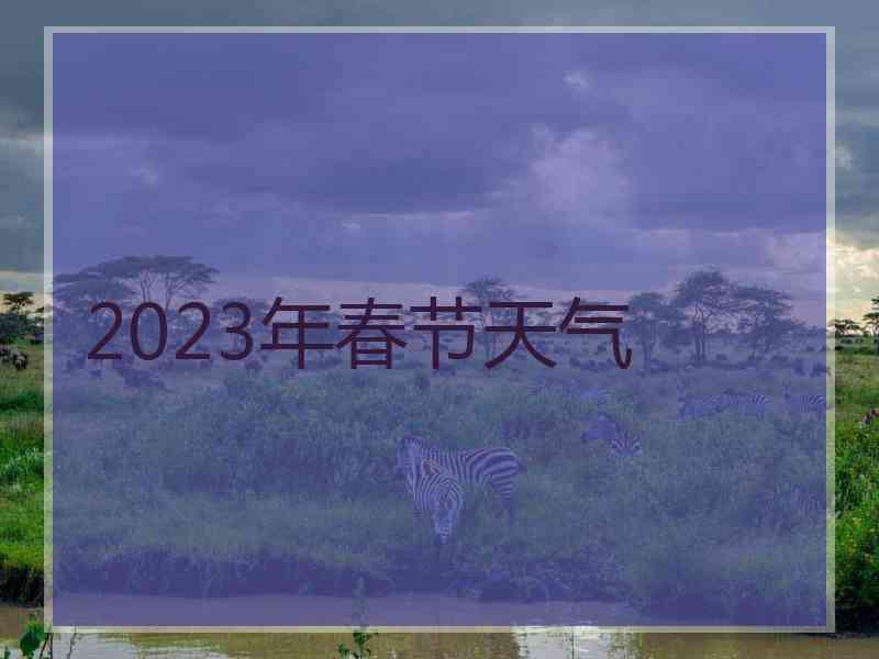 2023年春节天气