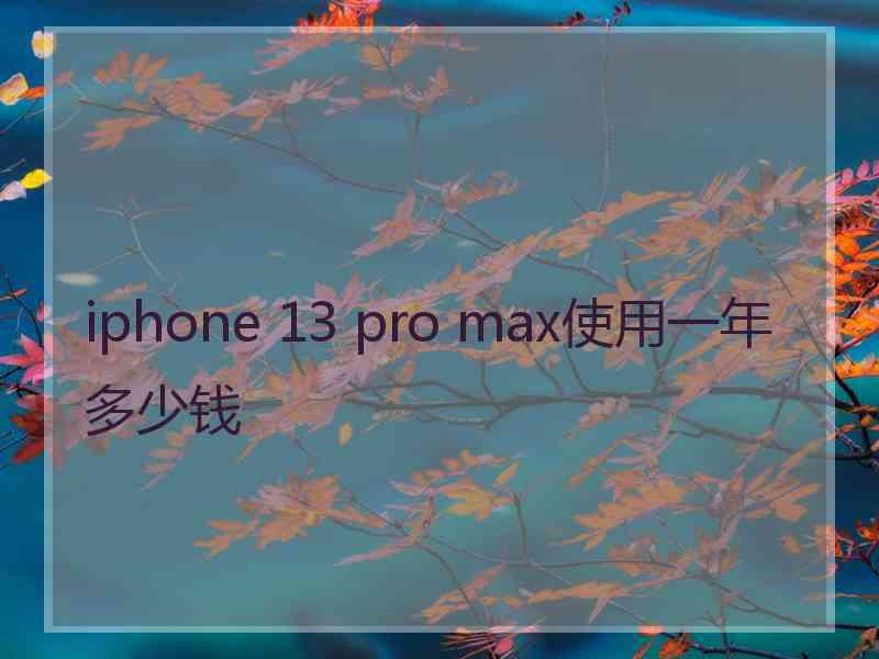 iphone 13 pro max使用一年多少钱