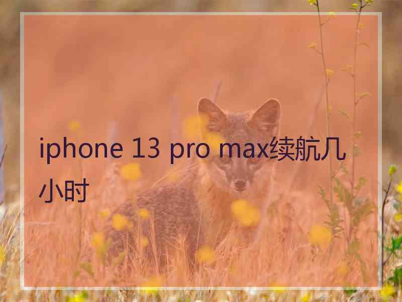 iphone 13 pro max续航几小时