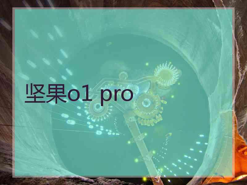 坚果o1 pro