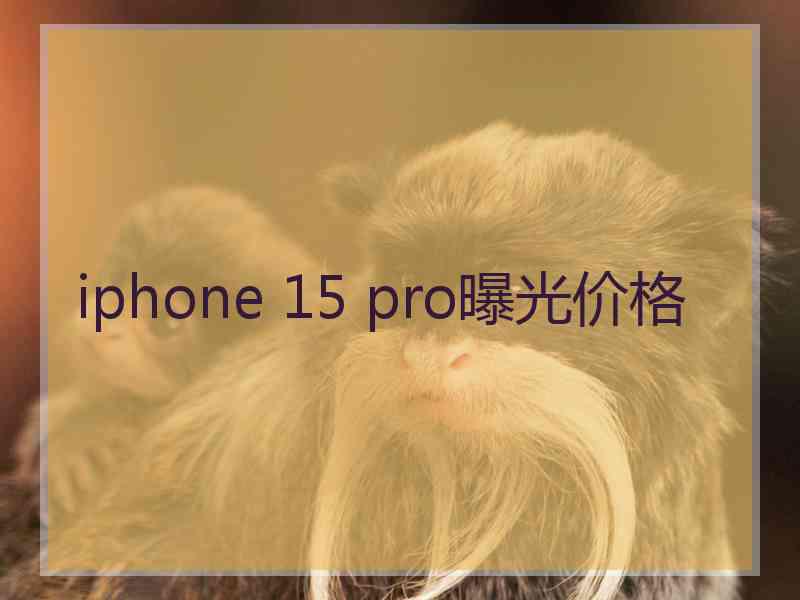 iphone 15 pro曝光价格