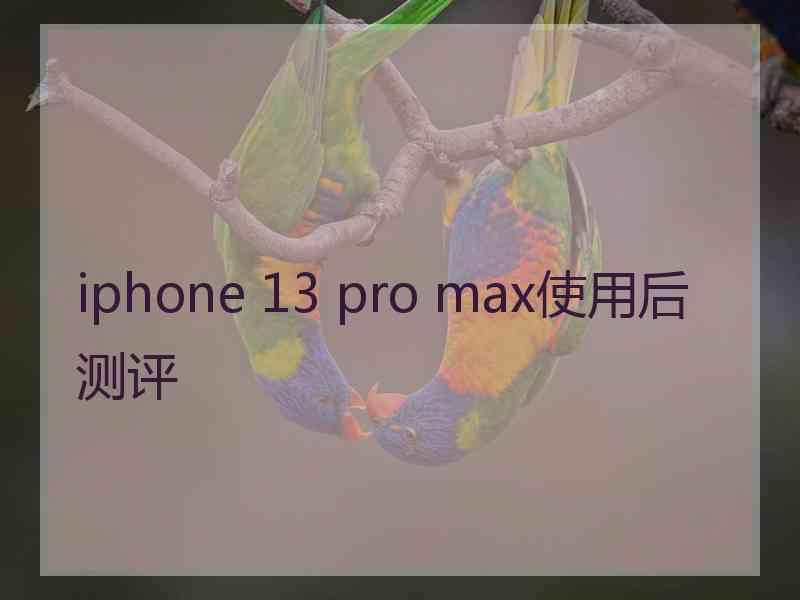 iphone 13 pro max使用后测评