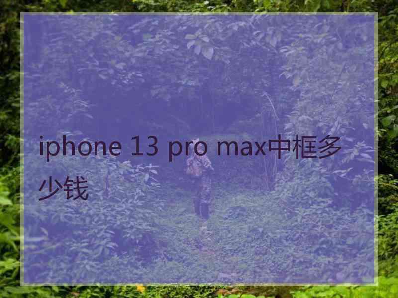 iphone 13 pro max中框多少钱