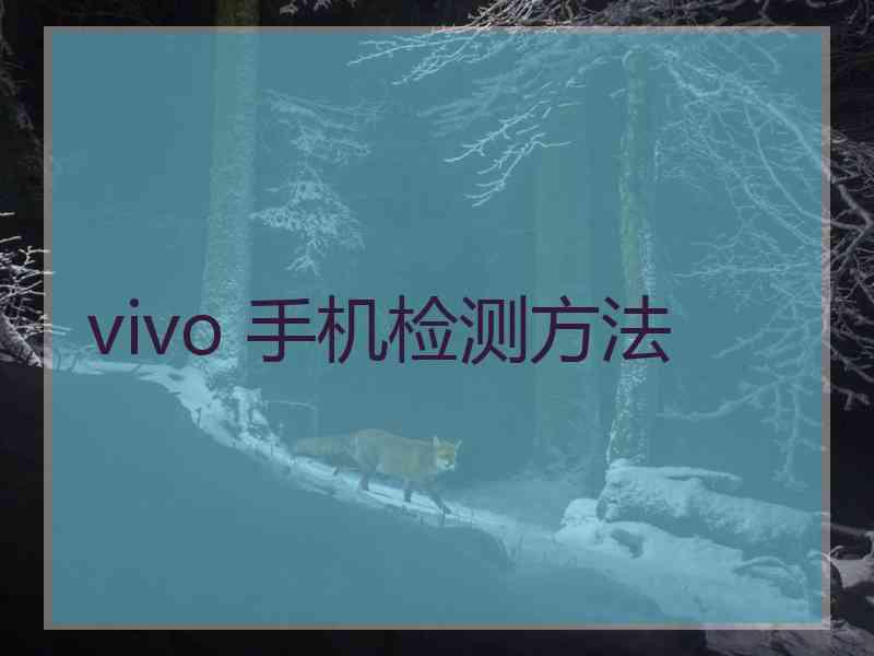 vivo 手机检测方法