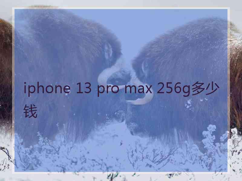 iphone 13 pro max 256g多少钱