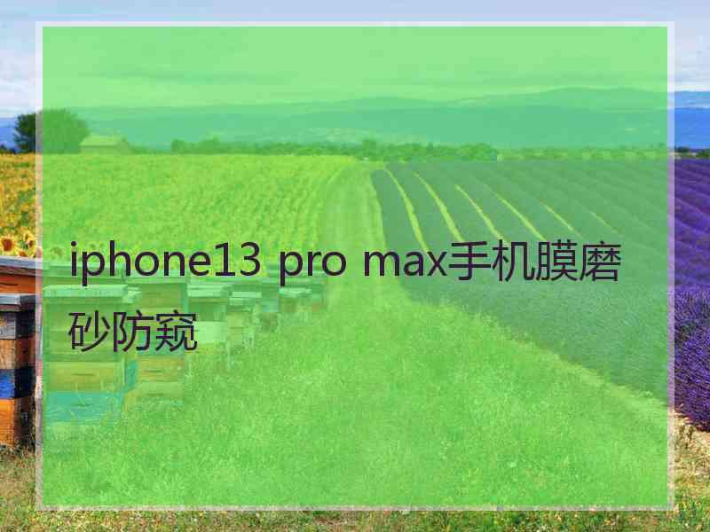 iphone13 pro max手机膜磨砂防窥