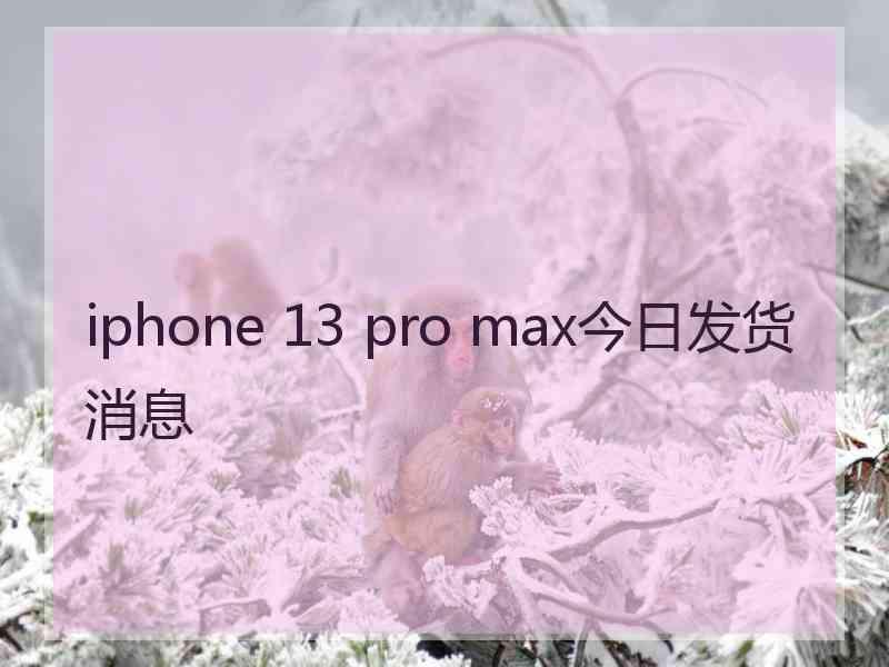 iphone 13 pro max今日发货消息