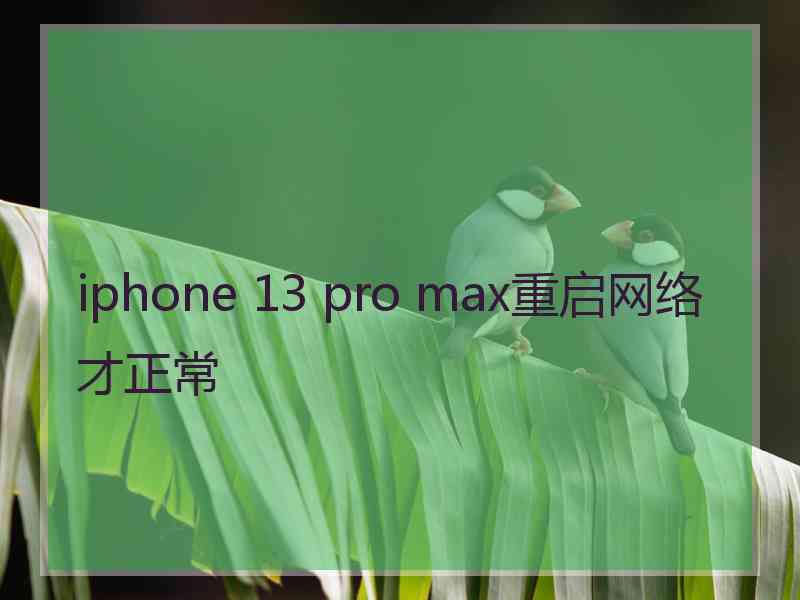 iphone 13 pro max重启网络才正常