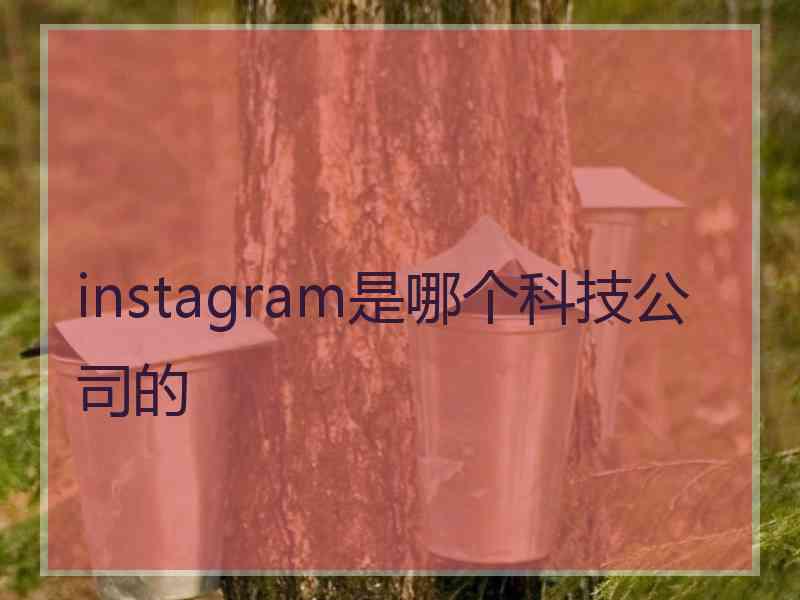 instagram是哪个科技公司的