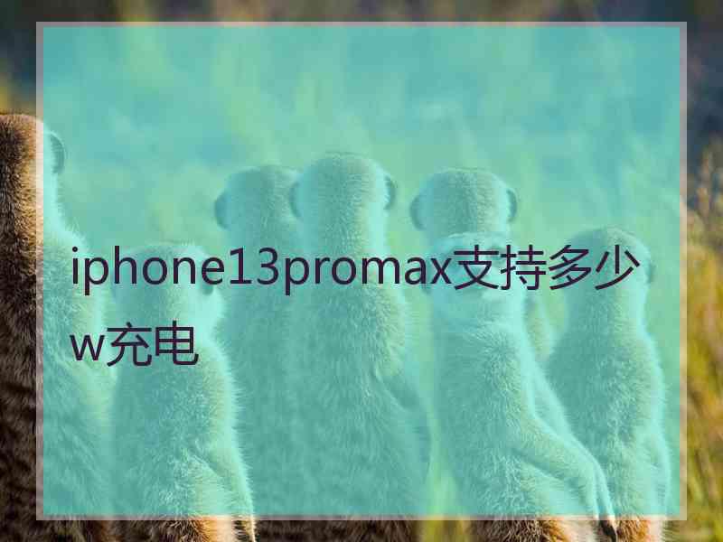 iphone13promax支持多少w充电