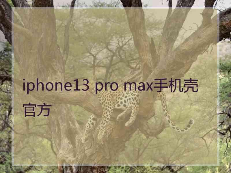 iphone13 pro max手机壳官方