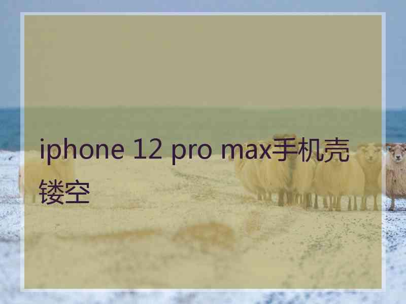 iphone 12 pro max手机壳镂空