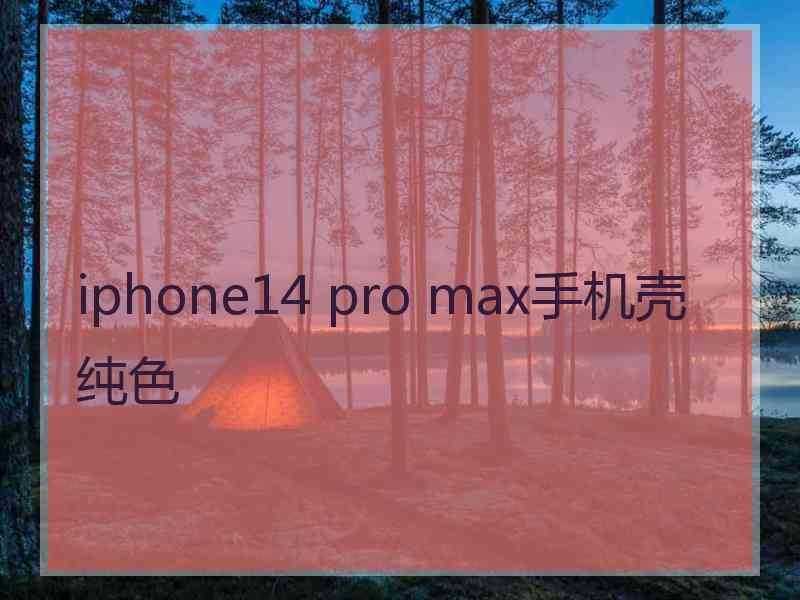 iphone14 pro max手机壳纯色