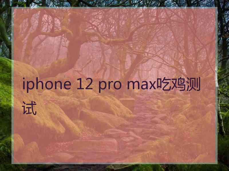 iphone 12 pro max吃鸡测试