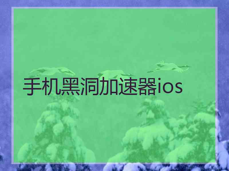 手机黑洞加速器ios