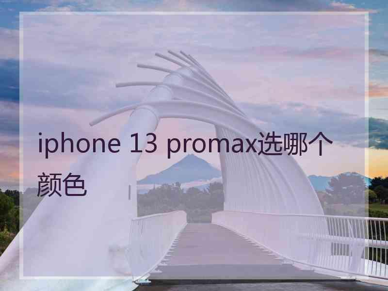 iphone 13 promax选哪个颜色