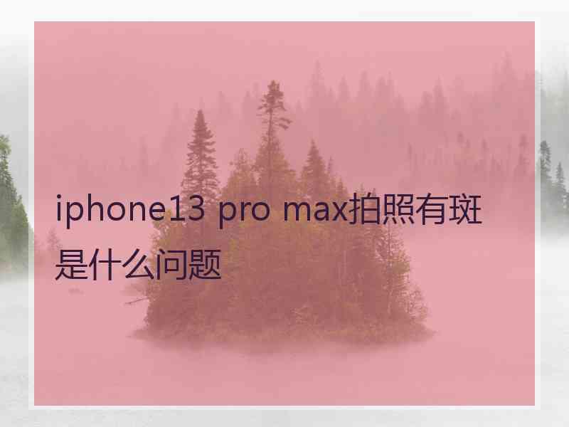 iphone13 pro max拍照有斑是什么问题