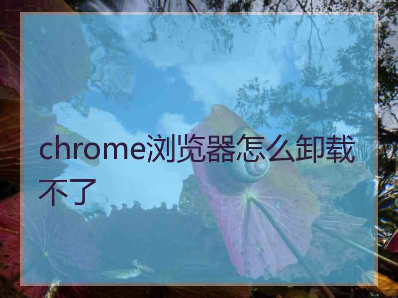 chrome浏览器怎么卸载不了