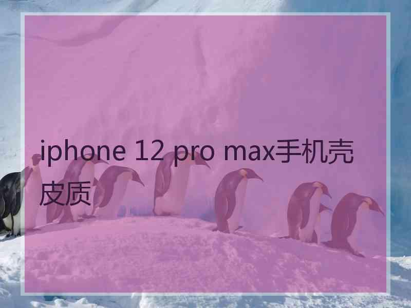 iphone 12 pro max手机壳皮质