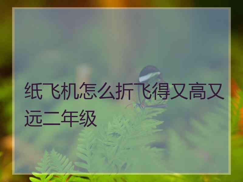 纸飞机怎么折飞得又高又远二年级