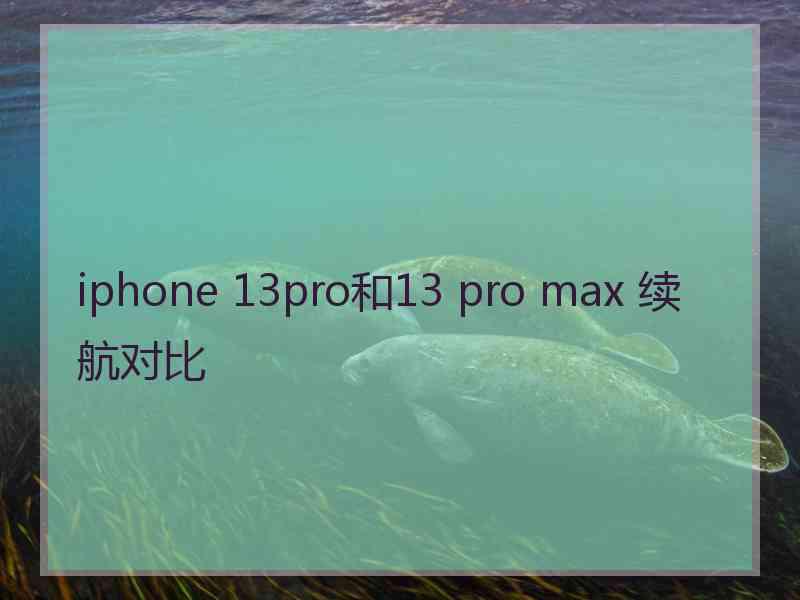 iphone 13pro和13 pro max 续航对比