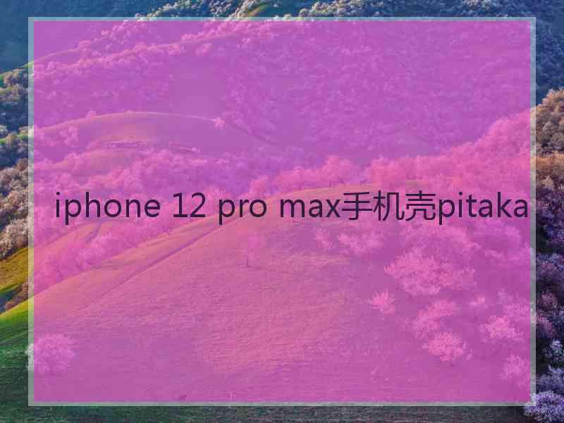 iphone 12 pro max手机壳pitaka