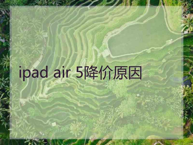 ipad air 5降价原因