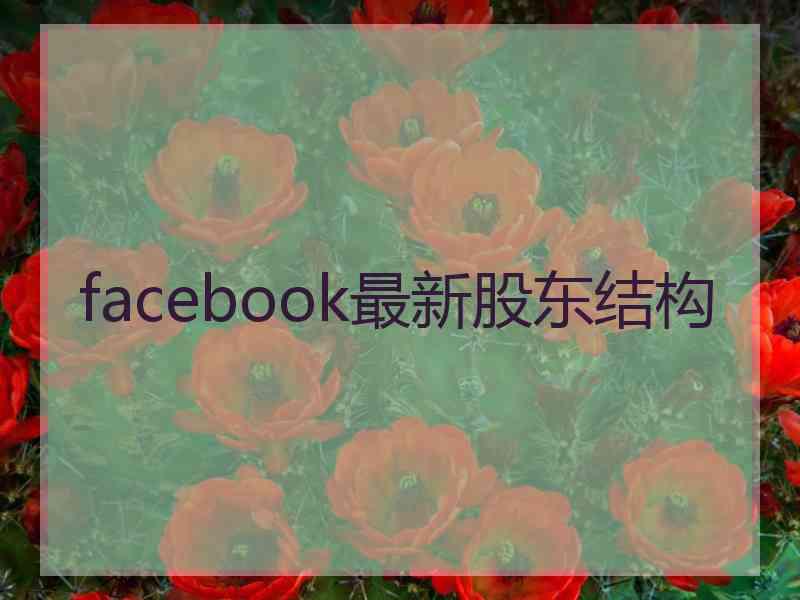 facebook最新股东结构