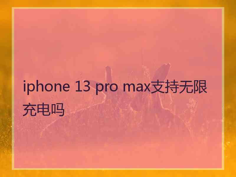 iphone 13 pro max支持无限充电吗