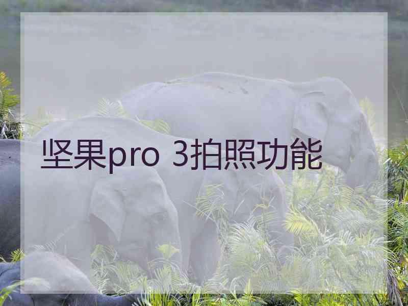 坚果pro 3拍照功能