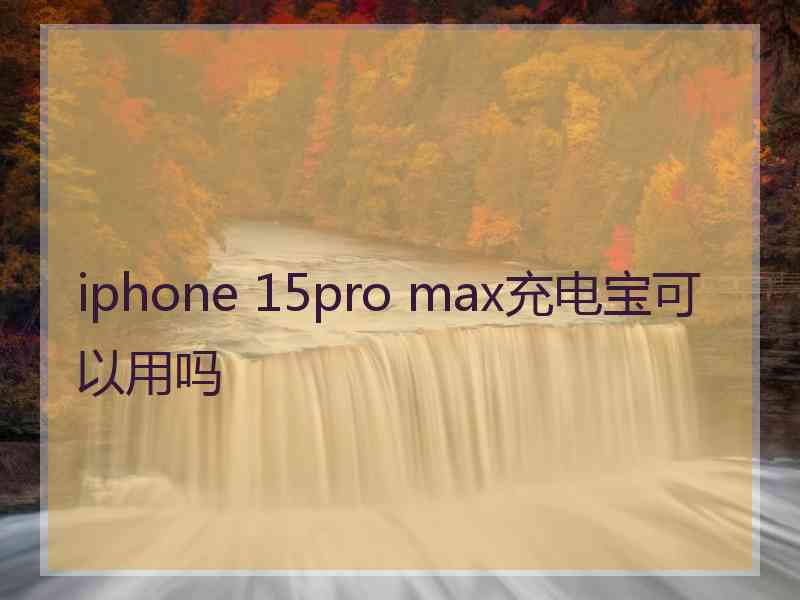 iphone 15pro max充电宝可以用吗