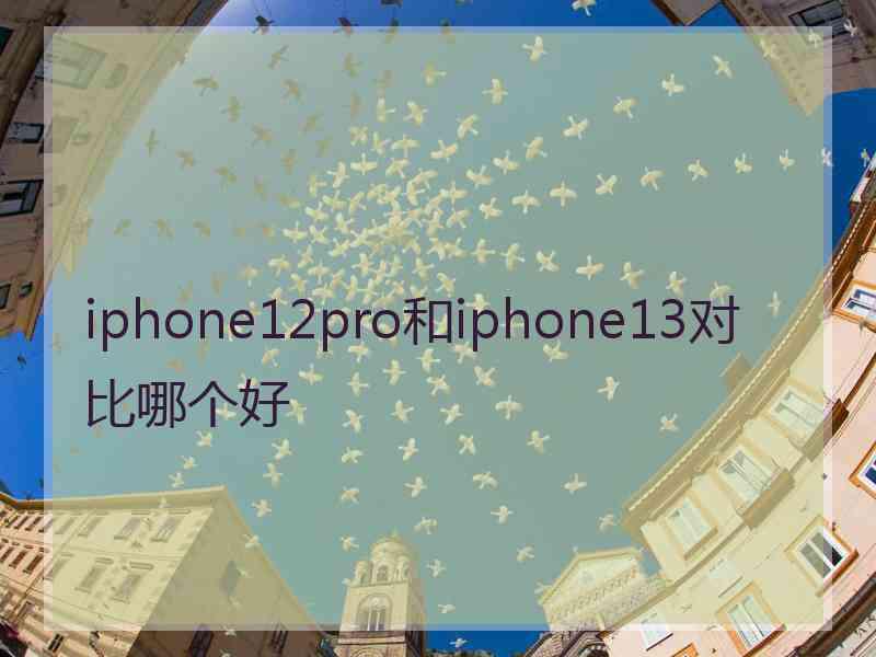 iphone12pro和iphone13对比哪个好