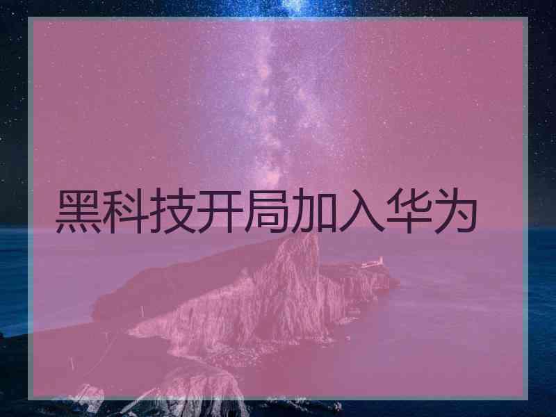 黑科技开局加入华为