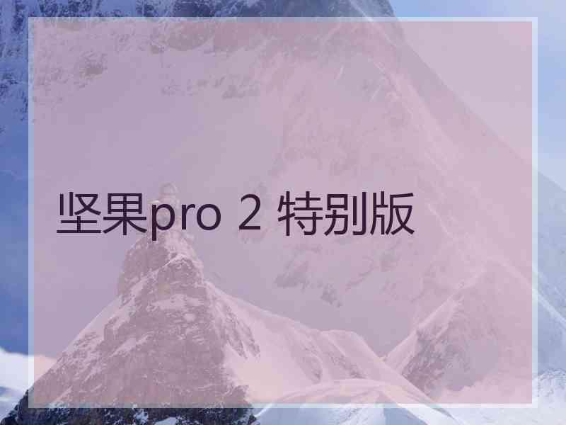 坚果pro 2 特别版