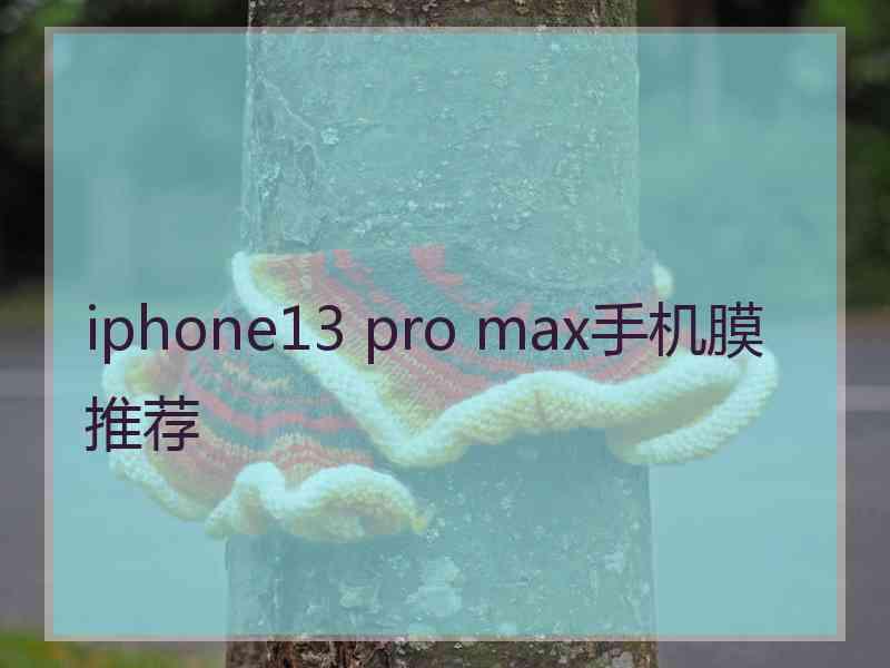 iphone13 pro max手机膜推荐