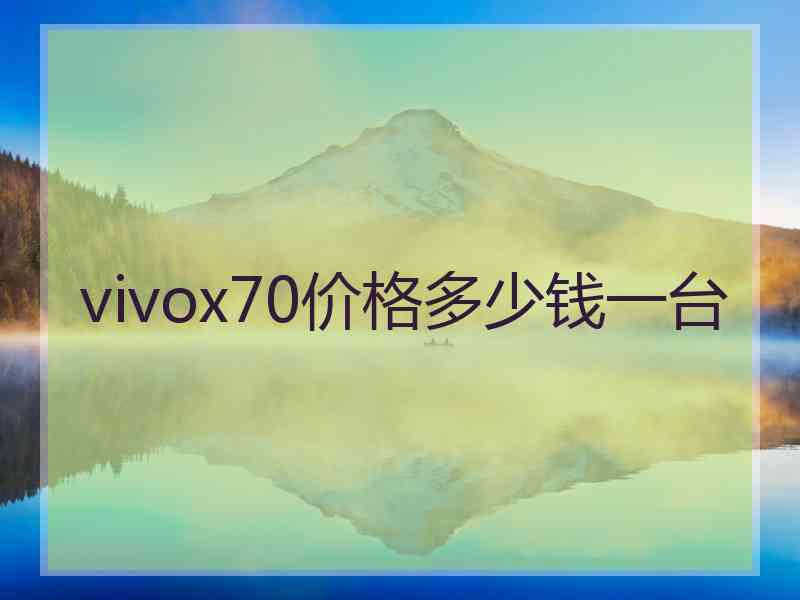 vivox70价格多少钱一台