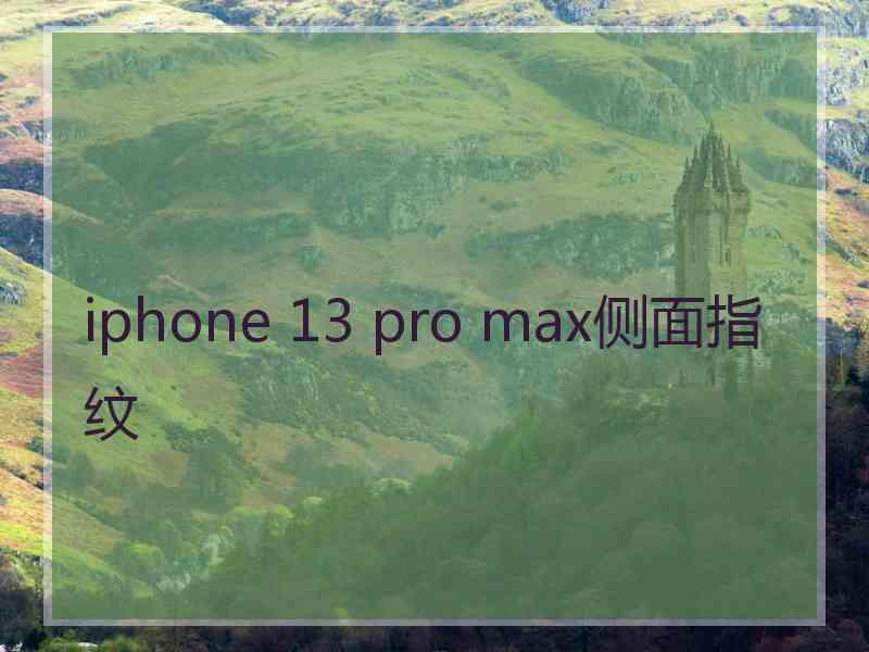 iphone 13 pro max侧面指纹