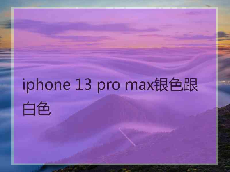 iphone 13 pro max银色跟白色