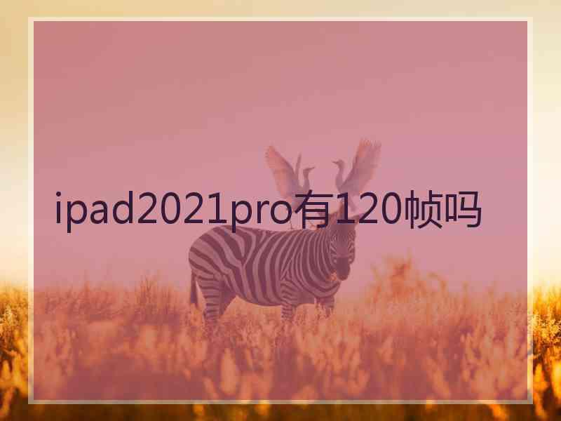 ipad2021pro有120帧吗