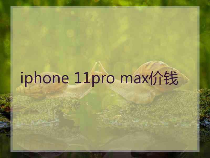 iphone 11pro max价钱