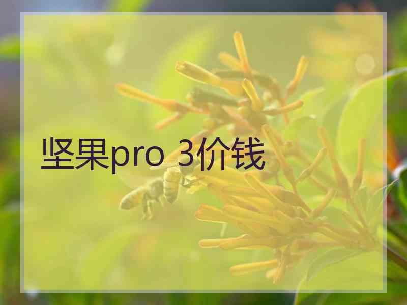 坚果pro 3价钱