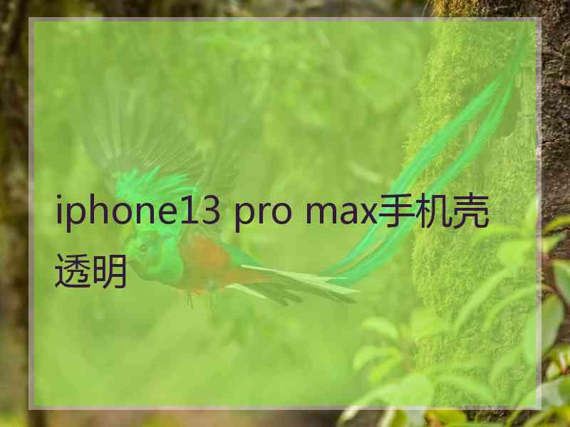 iphone13 pro max手机壳透明