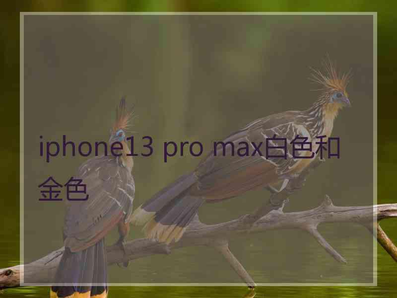 iphone13 pro max白色和金色