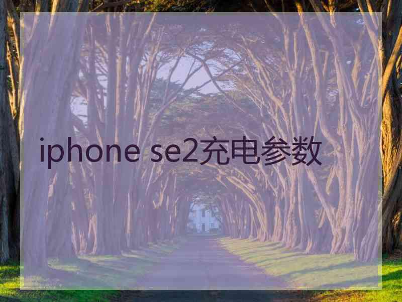 iphone se2充电参数