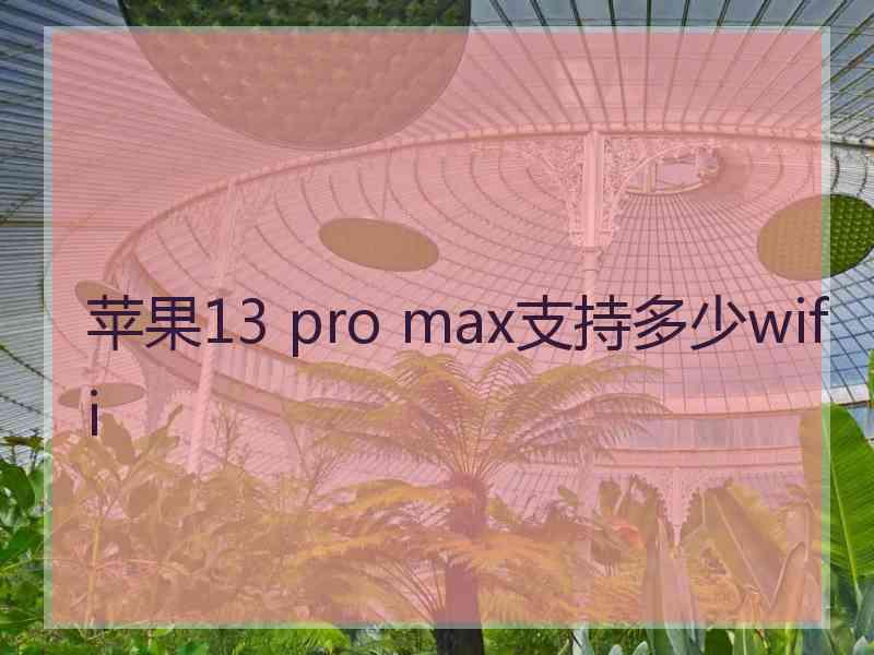 苹果13 pro max支持多少wifi