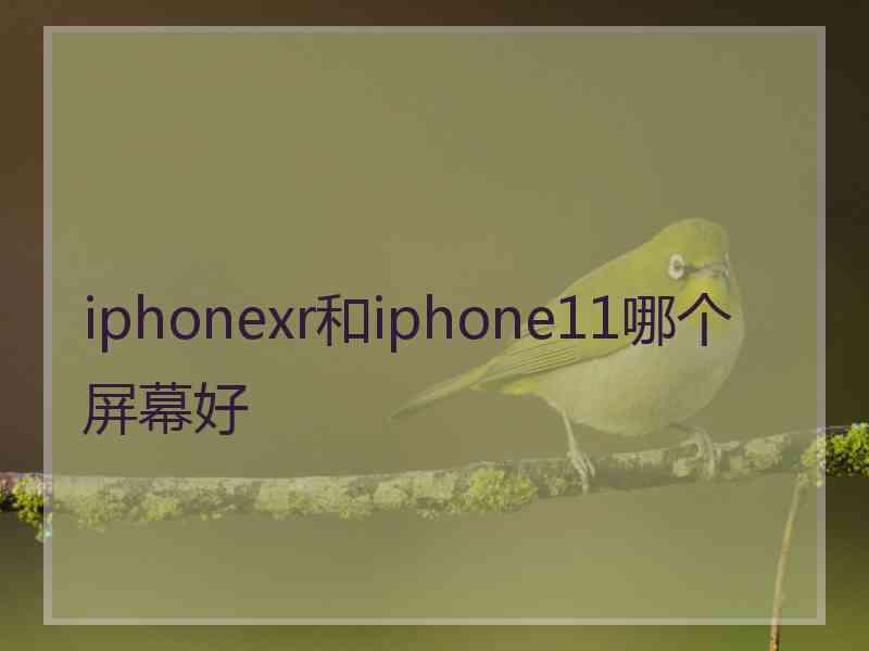 iphonexr和iphone11哪个屏幕好