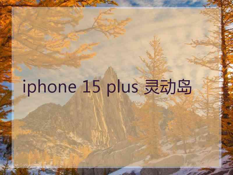 iphone 15 plus 灵动岛