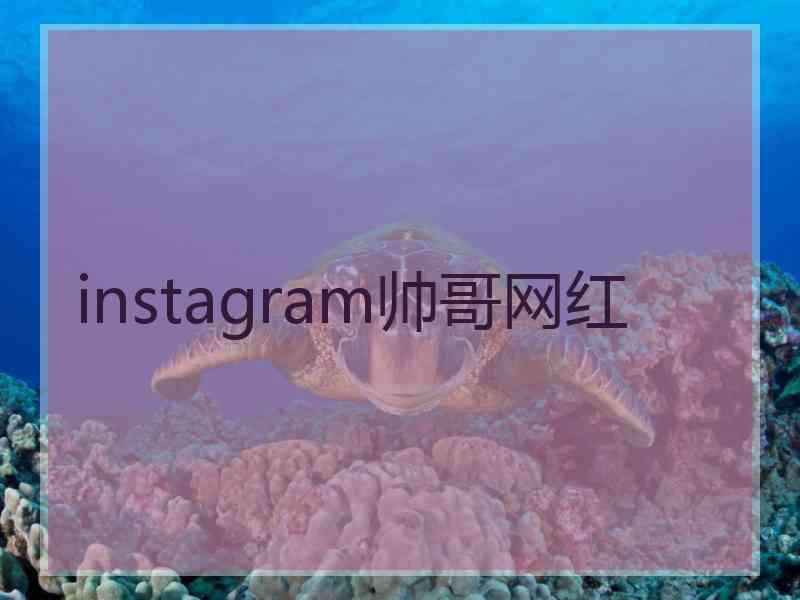 instagram帅哥网红