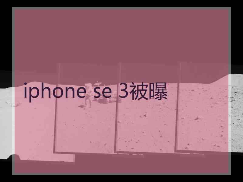 iphone se 3被曝